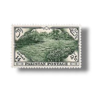 1954 PK69 7th Annivesary Independence Tea Plantation