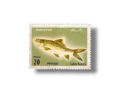 1973 PK354 Wildlife series Fishes
