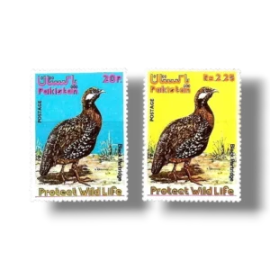1975 PK395s Wild Life series 1 Black Francolin