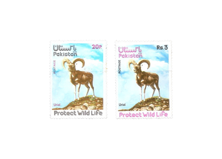 1975 PK401s Wild Life Series (2) Urial