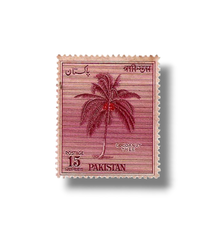 Pictorial Definitives Coconut Tree