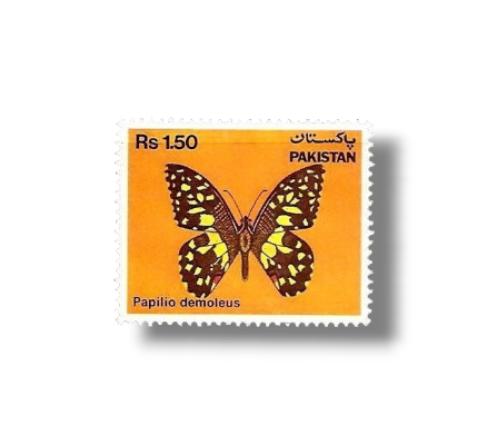 1983 PK594 Butterflies Checkered Swallowtail Papilio demoleus