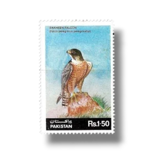 1986 PK691 Wild Life Series Shaheen Falcon