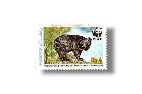 1989 PK782 Wildlife protection Asiatic Black Bear