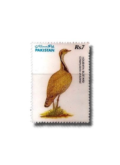 1991 PK853 Wildlife protection Houbara Bustard (Chlamydotis undulata)