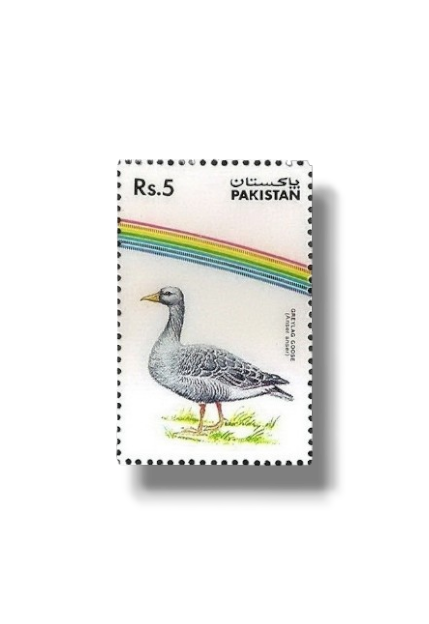 1992 PK887 Water Birds Greylag Goose