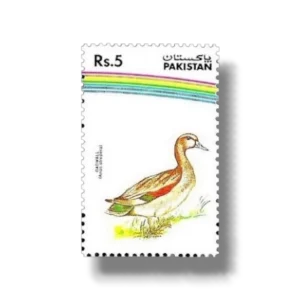 1992 PK890 Water Birds Gadwal