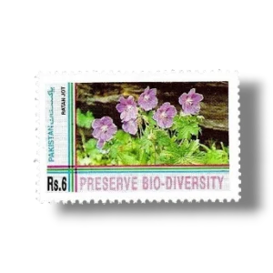 1994 PK915 Biological Diversity Convention Ratan Jot ( flower )