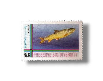 1994 PK917 Biological Diversity Convention Golden Mahseer