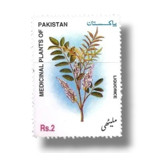 2000 PK1123 Medicinal Plants Liquorice