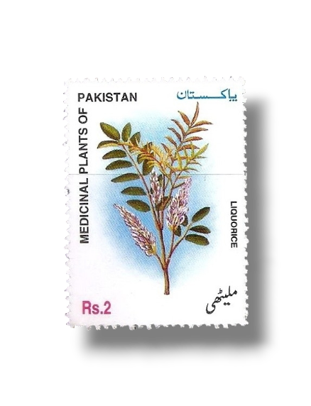 2000 PK1123 Medicinal Plants Liquorice
