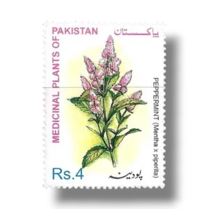 2001 PK1142 Peppermint