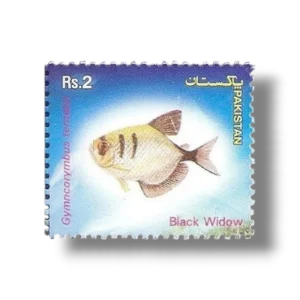 Popular Aquarium Varieties of Tropical fish