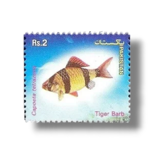 Popular Aquarium Varieties of Tropical fish