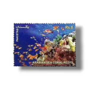 2012 PK1464 The Arabian Sea Coral Reefs