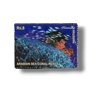 2012 PK1467 The Arabian Sea Coral Reefs