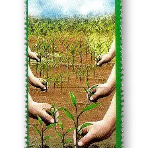 Environmental Program Green Pakistan