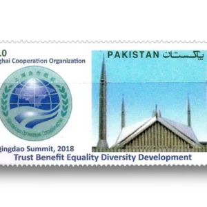 Shanghai Cooperation Organization Summit Qingdao