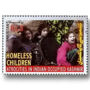 Human Rights Abuses in Kashmir