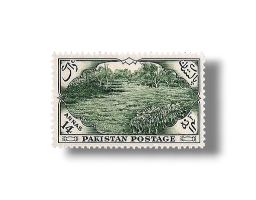 1954 PK69 7th Annivesary Independence Tea Plantation