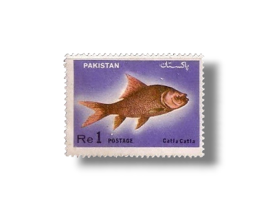 1973 PK356 Wildlife series Fishes Major Indian Carp