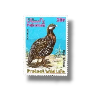 1975 PK394 Wild Life series 1 Black Francolin