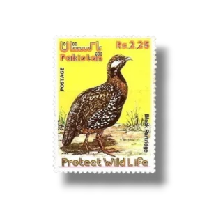1975 PK395 Wild Life series 1 Black Francolin