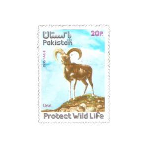 1975 PK400 Wild Life Series Urial