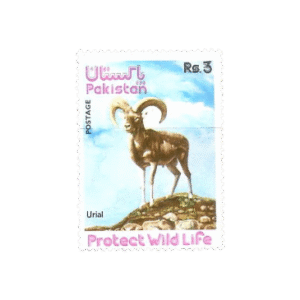 1975 PK401 Wild Life Series (2) Urial