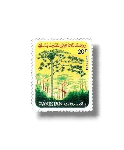 1977 PK441 National Tree Plantation