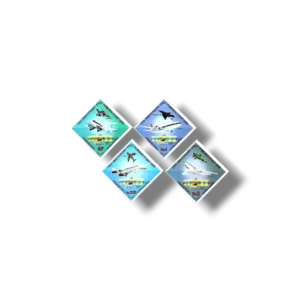 1978 PK486s 75th Anniversary of First Powered Flight