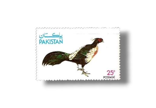 1979 PK494 Wild Life Series Kalij Pheasant