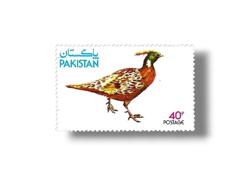 1979 PK495 Wild Life Series Koklass Pheasant