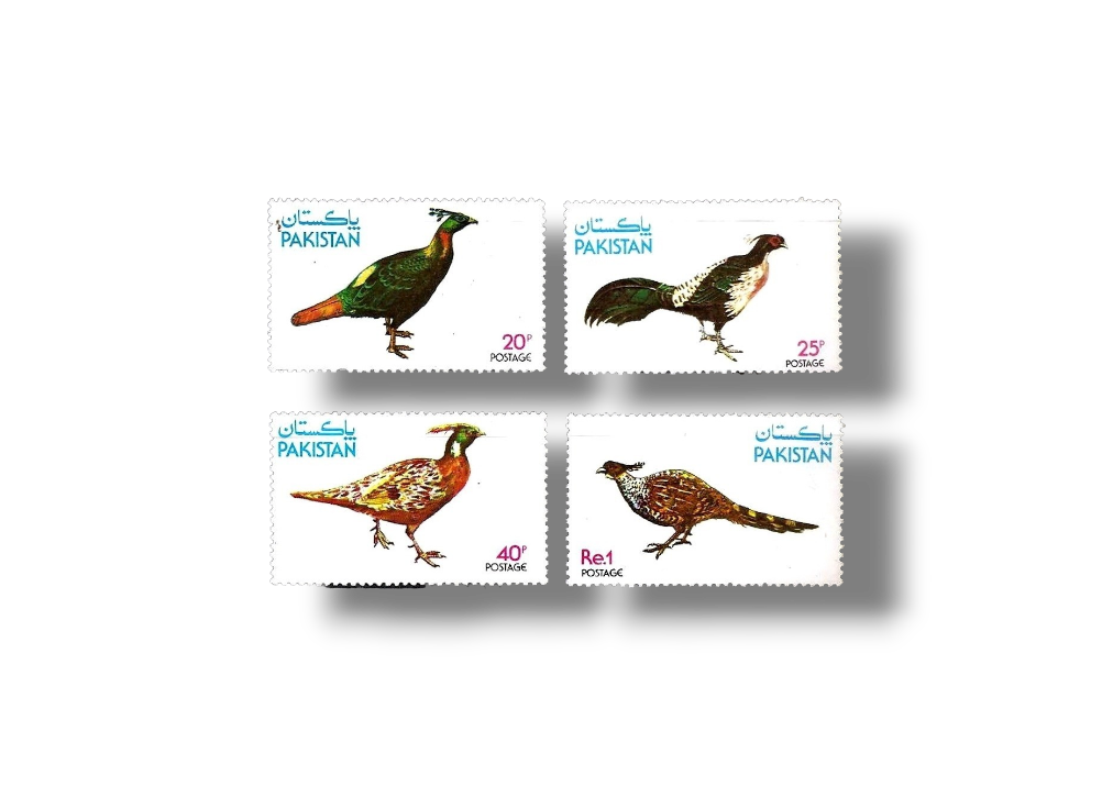 1979 PK496s Wild Life Series