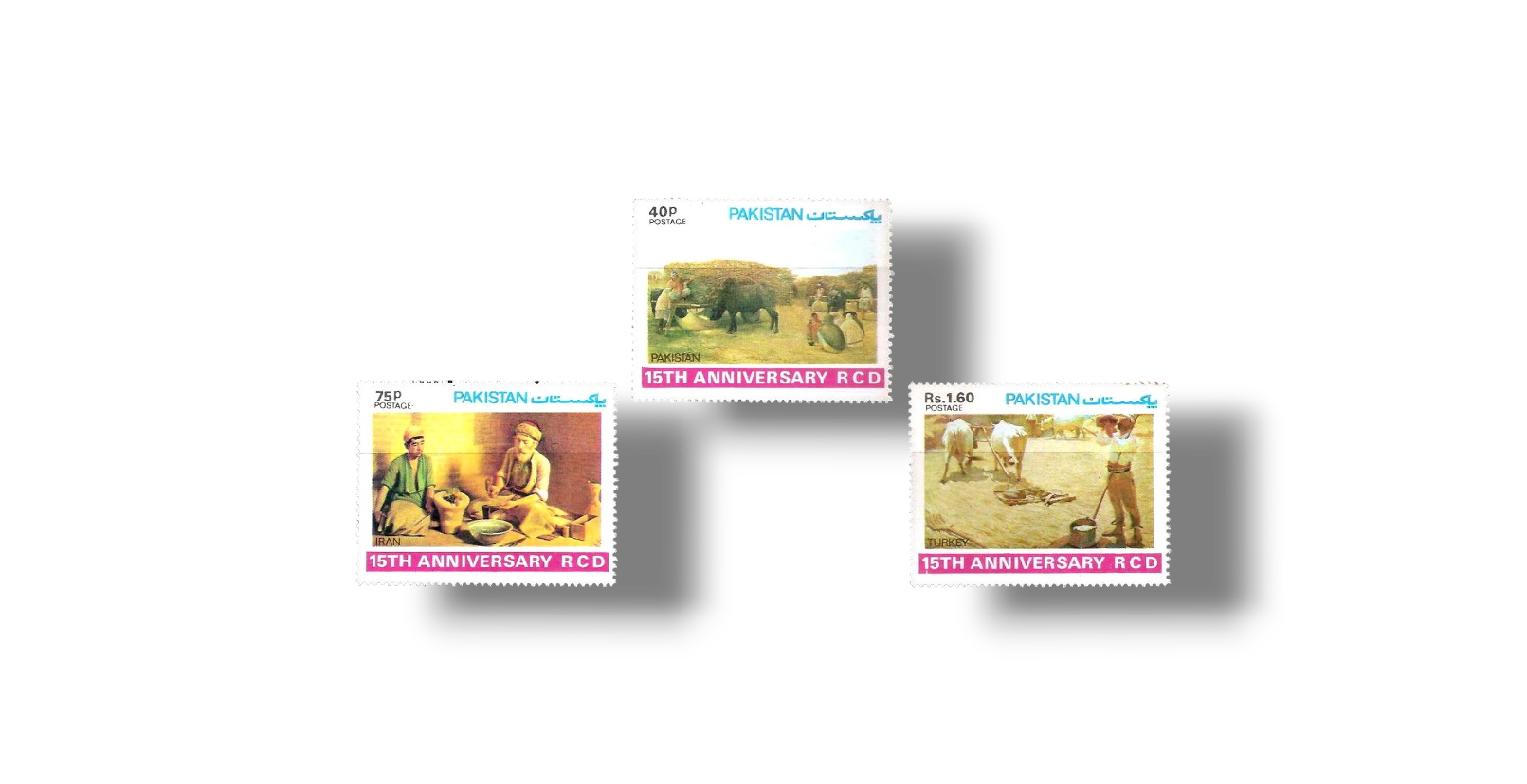 1979 PK499s 1st Anniversary Of R.C.D