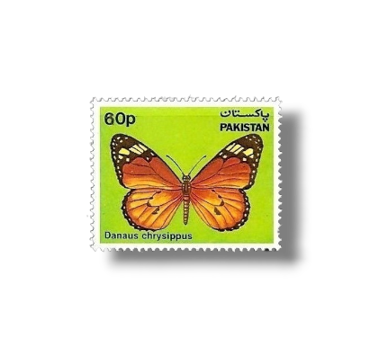1983 PK593 Butterflies African Monarch Danaus chrysippus