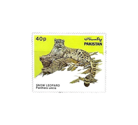 1984 PK621 Wild Life Series Snow Leopard (Panthera uncia)
