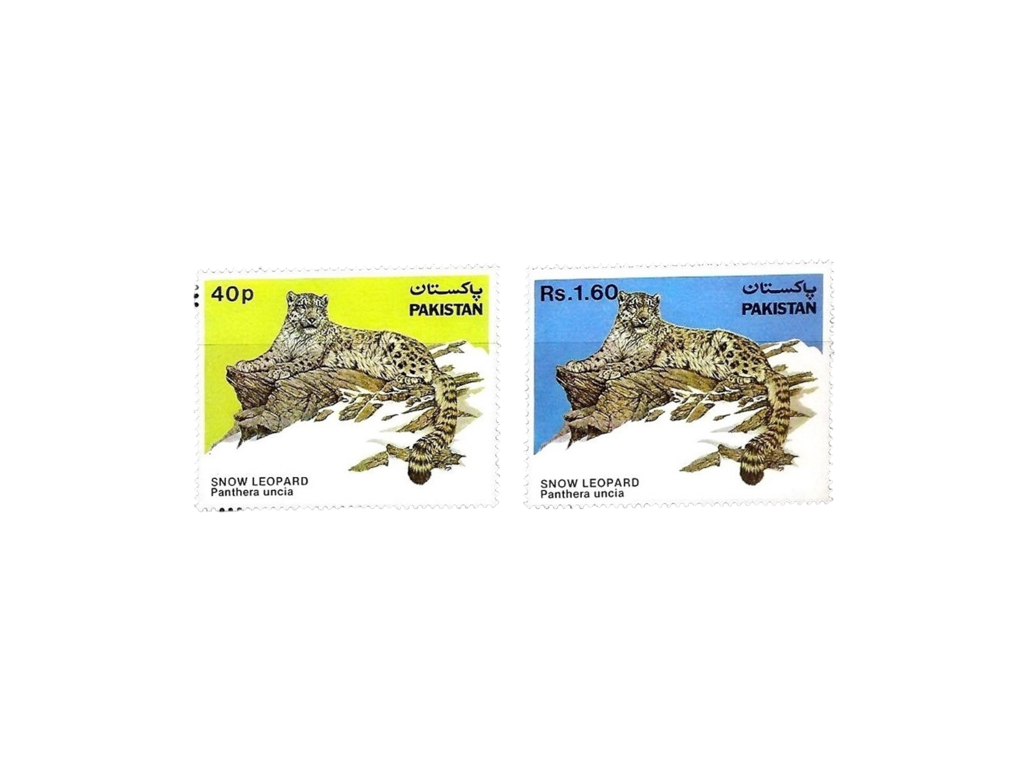 1984 PK622s Wild Life Series Snow Leopard (Panthera uncia)