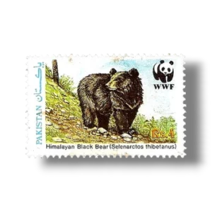 1989 PK780 Wildlife protection Asiatic Black Bear