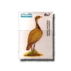 1991 PK853 Wildlife protection Houbara Bustard (Chlamydotis undulata)