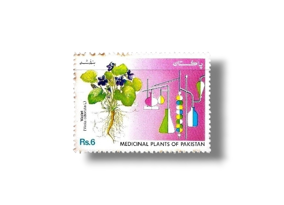 1992 PK876 Medicinal Plants violet