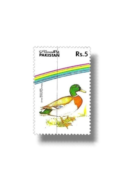 1992 PK880 Water Birds Mallard