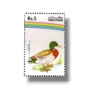 1992 PK882 Water Birds Mallard