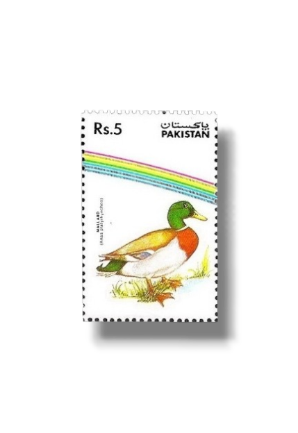 1992 PK883 Water Birds Mallard