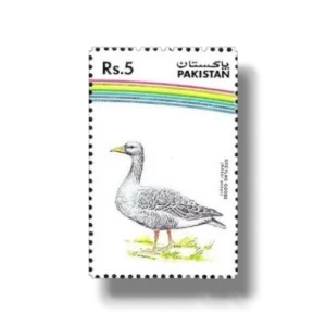 1992 PK886 Water Birds Greylag Goose