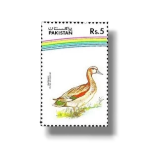 1992 PK889 Water Birds Gadwal