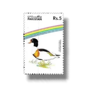 1992 PK892 Water Birds Common Shelduck