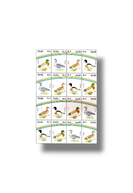 1992 PK895s Water Birds set