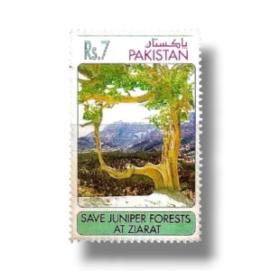 1993 PK908 Campaign to Save the Juniper Forest Ziarat