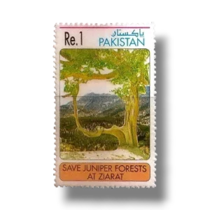 1993 PK907a Campaign to Save the Juniper Forest Ziarat